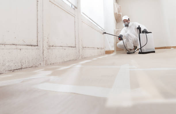 24/7 Emergency Black Mold Remediation experts in Franklinton, NC